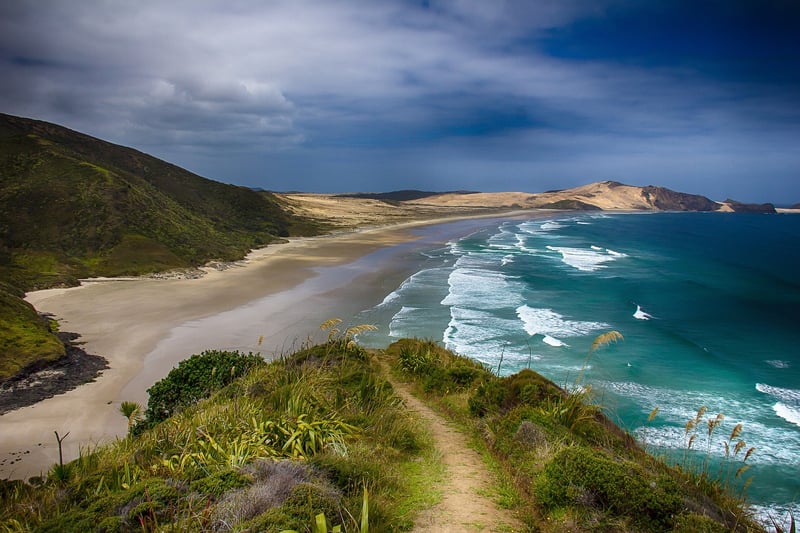 New Zealand Cuisine